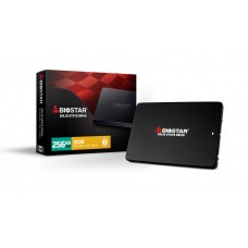 DISCO DURO SSD BIOSTAR S100 256GB