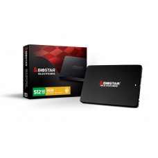 DISCO DURO SSD BIOSTAR S120 512GB